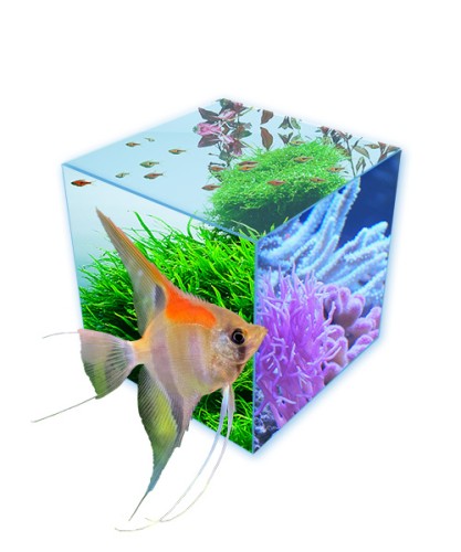 About Easy-Life aquariumproducts